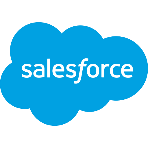 Salesforce Developer
