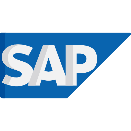 SAP Developer